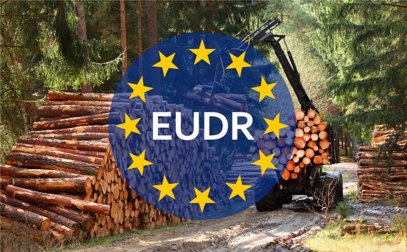EUDR en de impact op het duurzame beheer van houten verpakkingen