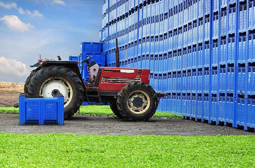 Het gebruik van palletboxen in de agrarische industrie