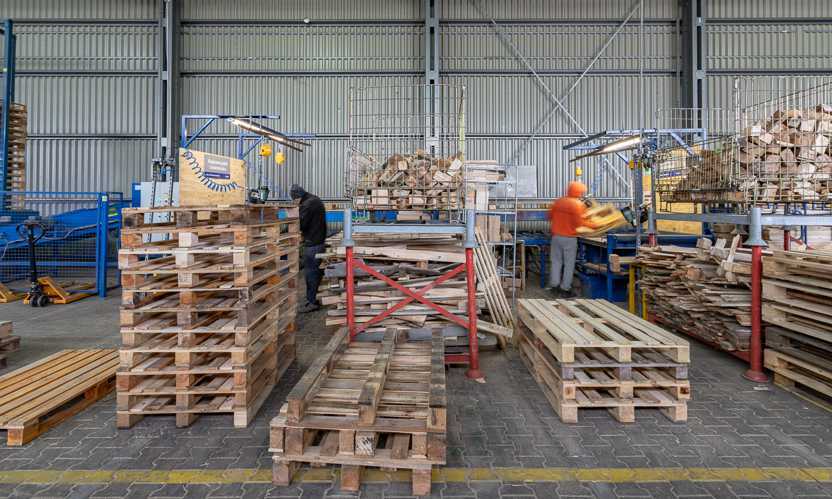 Regeneratie van houten pallets in de productiehal