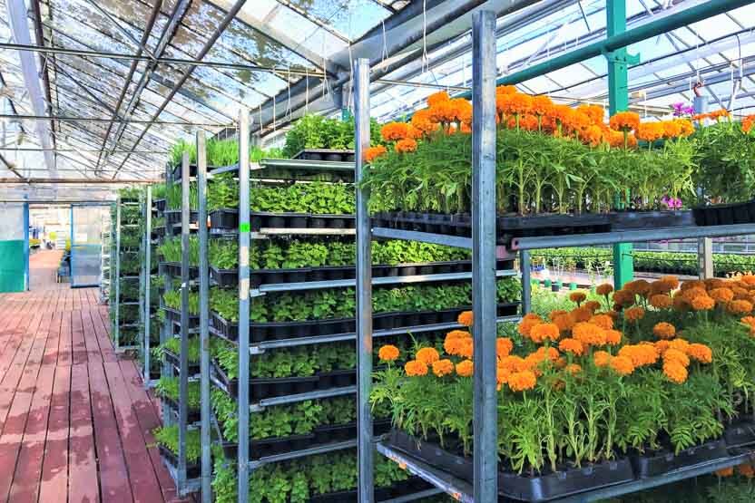 Deense plantencontainers zijn een handige manier om bloemen klaar te maken voor transport.