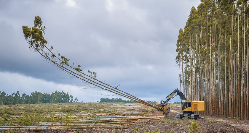 Wat is het belang van de EUDR